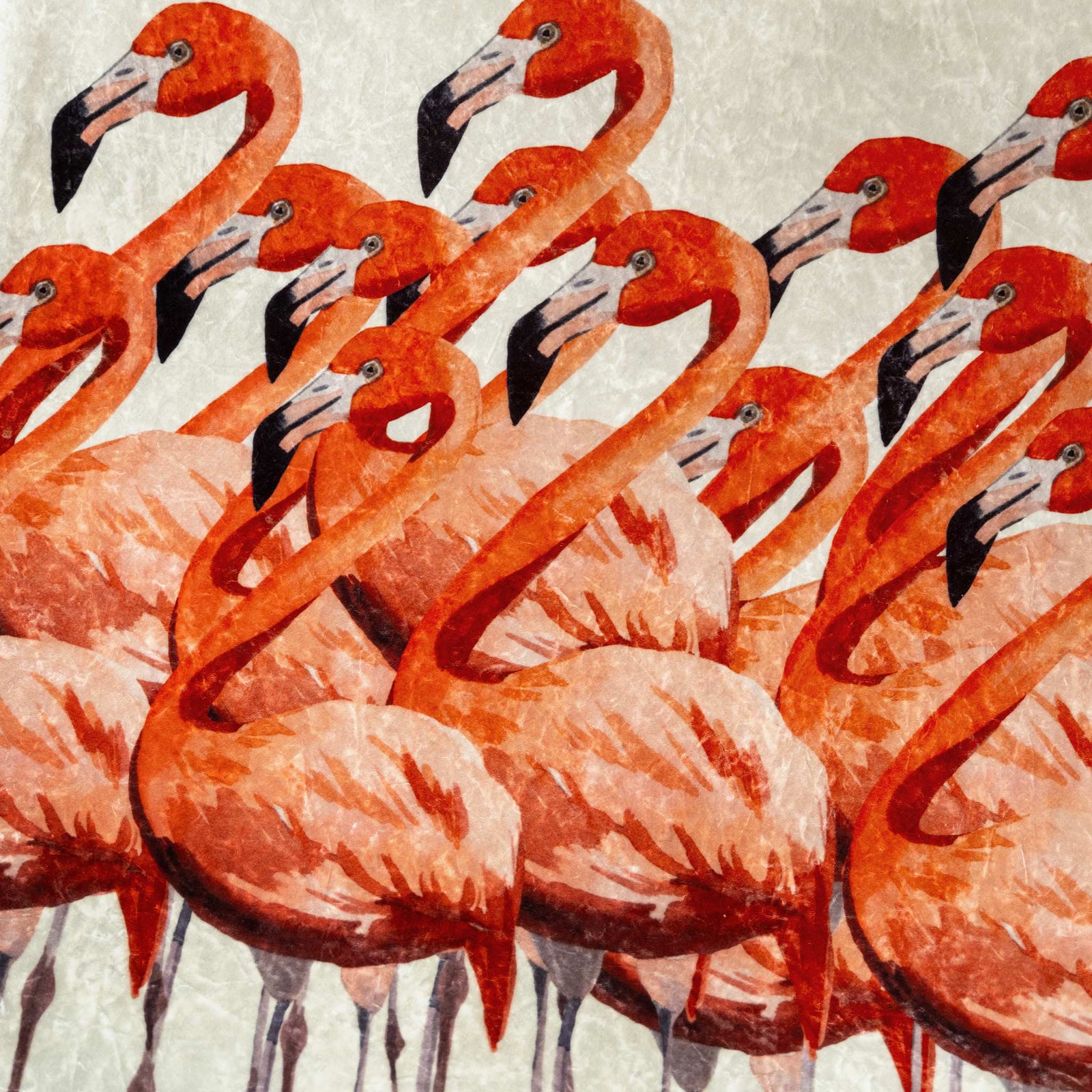 Flamingo Velvet Blanket - bzbuzzbee